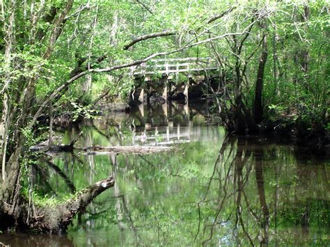 Moores Creek Bridge | Irisha | Flickr