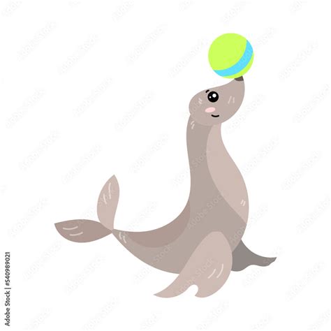 Cute sea lion playing with ball. Trained sea lion balancing ball on ...