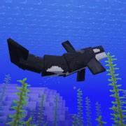 Orca | Minecraft Mobs Wiki | Fandom