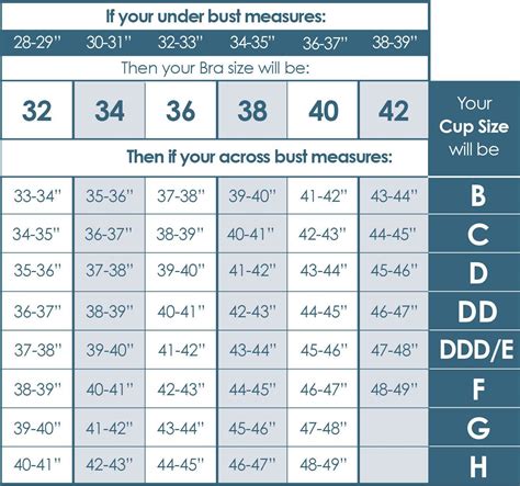 size of bra how to measure - Jonathan Avery