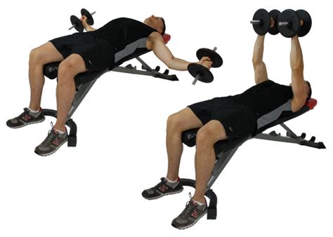 Fit For Life: Dumbbell Flys