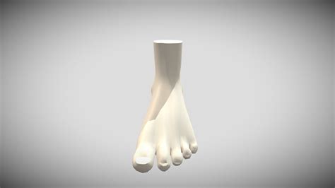 Foot - Download Free 3D model by niamhmundy5 [42d03f9] - Sketchfab