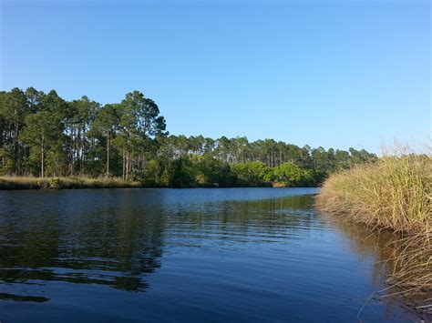 Apalachicola River WEA 03 - a photo on Flickriver