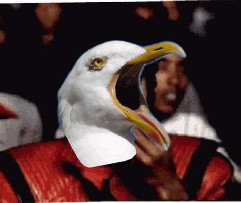 Michael Jackson Popcorn GIF - Michael Jackson Popcorn Seagull ...