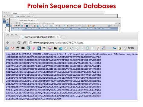 Protein Bioinformatics Course - ppt download