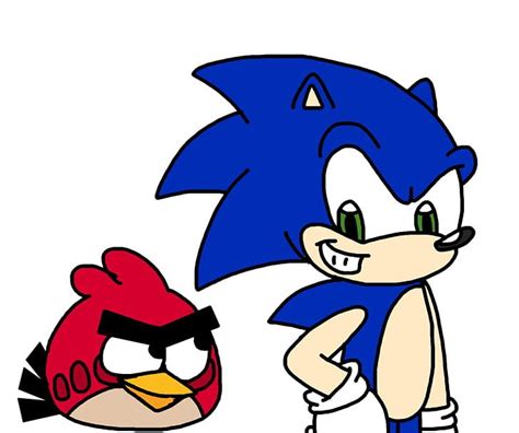 Sonic The Hedgehog Angry Birds Epic Sonic Colors Sega PNG, Clipart ...