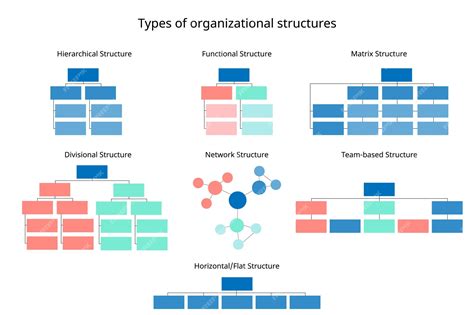 Premium Vector | 7 types of organizational structures to organize the ...