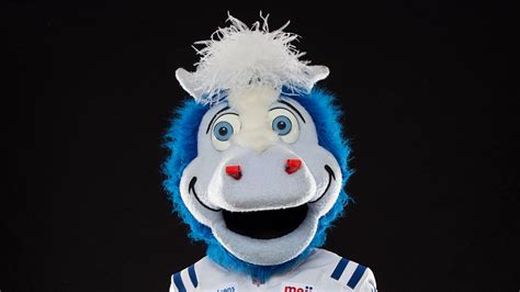 Colts Mascot Blue | Indianapolis Colts - colts.com