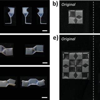 a) Schematic of the structure of the hydrogel impeller and the set‐up ...