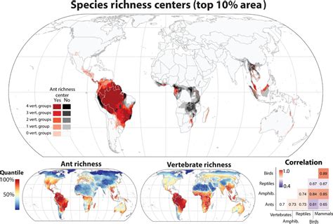 Researchers use AI to create a treasure map of undiscovered ant species ...