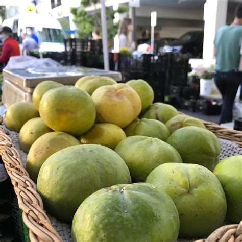 Sapote Information, Recipes and Facts