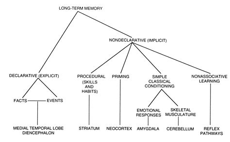 Declarative Memory Chart