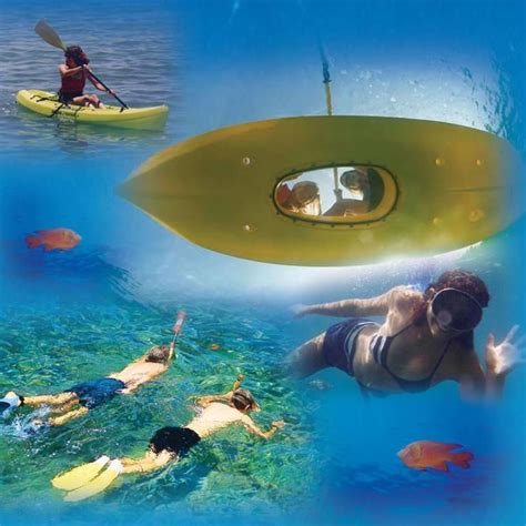 Snorkeling On Catalina Island | Catalina island, Snorkeling, Island tour