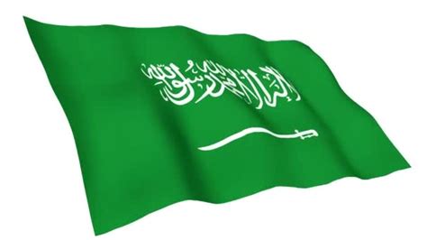 Animated flag of Saudi Arabia — Stock Video © jsddesign #60272857