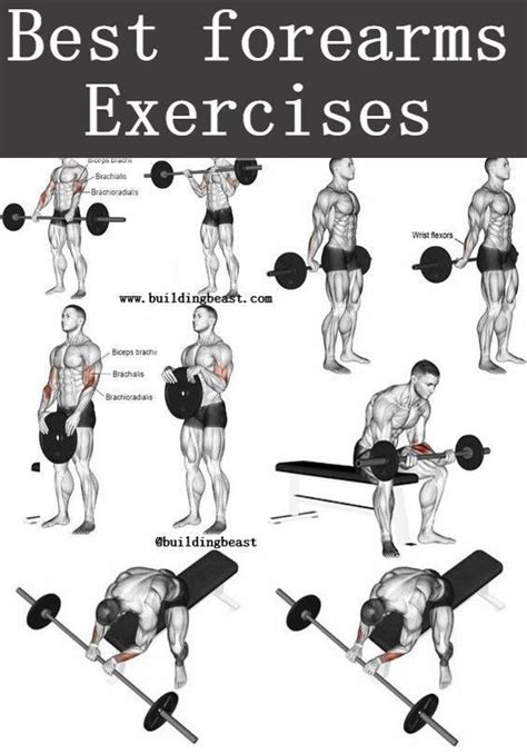 Best Forearms Exercises for men. | Forearm workout, Workout gym routine ...