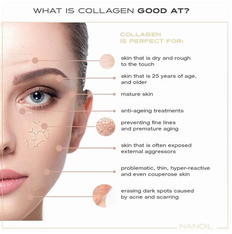 COLLAGEN - The Encyclopedia of Flawless Skin — Blog Nanoil Ireland