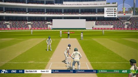 Download Cricket 19 for Windows 10, 8, 7 (2021 Latest)