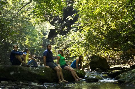 New River Gorge Guided Hike 3 Hours