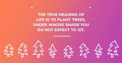 The 77 Absolute Best Quotes About Trees