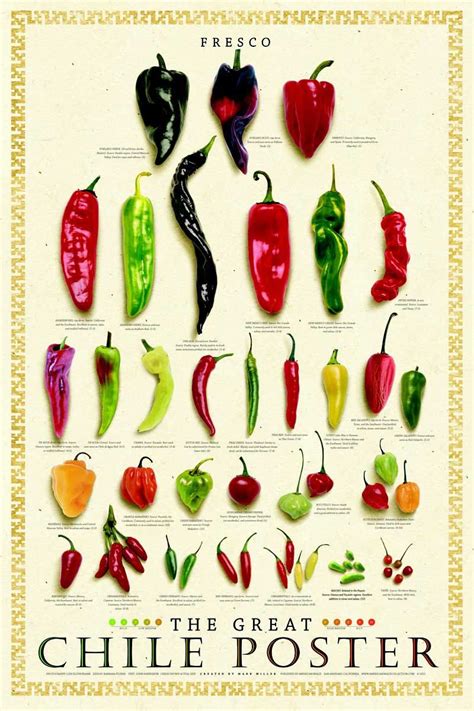 Stuffed peppers, Food poster, Types of peppers