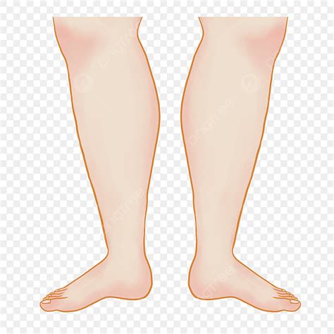 Fat Legs PNG, Vector, PSD, and Clipart With Transparent Background for ...