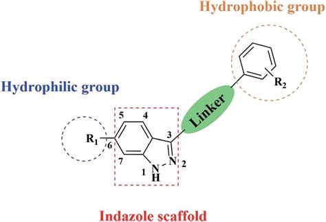 Structure of our indazole derivatives. | Download Scientific Diagram