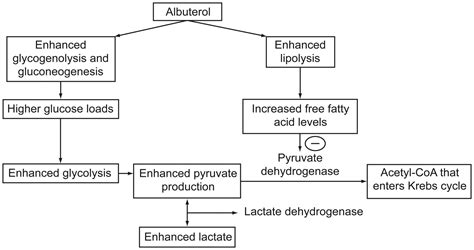 Can Albuterol Be Blamed for Lactic Acidosis? | Respiratory Care