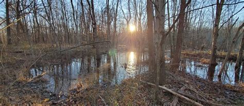 Winter Hike 1/22 Patuxent River Park – Natural History Society of Maryland