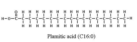 Palmitic acid - Alchetron, The Free Social Encyclopedia