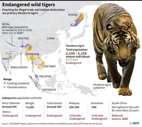 Sumatran Tiger Habitat