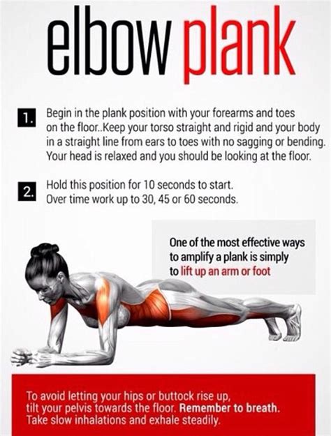 Elbow plank | Healthy fitness, Fitness body, Fitness tips