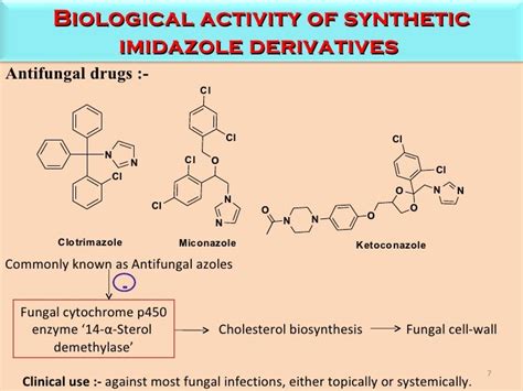 Imidazole Derivatives Biological Activity And Synthetic Approaches