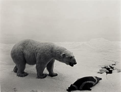 HIROSHI SUGIMOTO | 'POLAR BEAR' (FROM THE SERIES DIORAMAS), 1976 ...