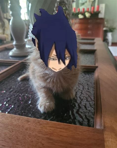 This is our kitten, Tamaki Amajiki : r/BokuNoMetaAcademia