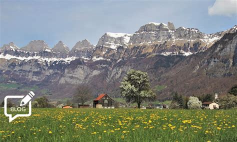 Why does Switzerland lag behind its neighbours on tobacco control topics?