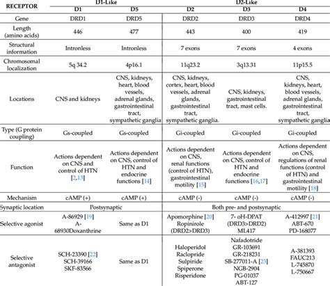 Dopamine receptor subtypes classified by distribution, function ...