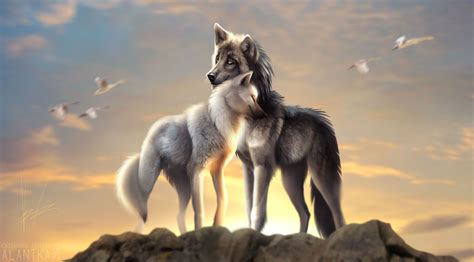 Wolves Wallpaper : 30 Wolf Backgrounds, Wallpapers, Images, Pictures ...