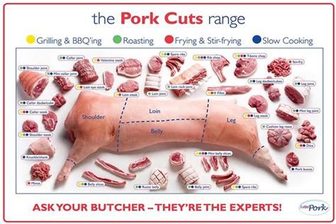 Pork Cuts Butcher Chart Laminated Poster - Etsy | Meat cuts, Beef cuts ...