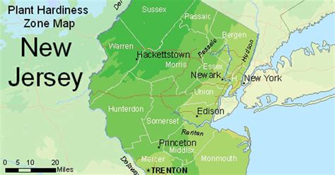 USDA Hardiness Zone Map For New Jersey - The Garden Magazine