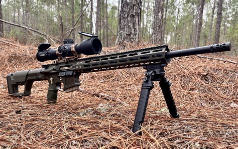 DMR 5.56 build, Finally finished it | Sniper's Hide Forum