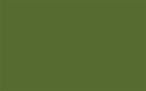 Olive Green Background Hd