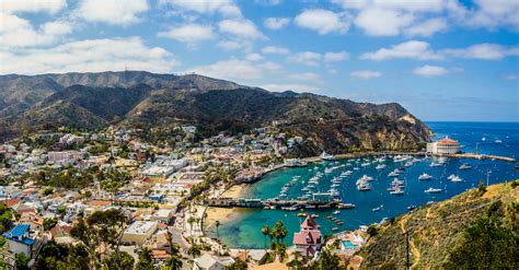 Top 5 Catalina Island Camping Grounds For an Exciting Experience