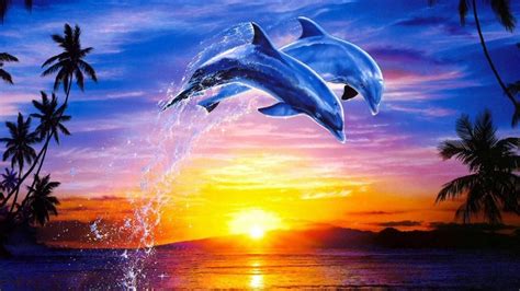 Top 999+ Dolphin Wallpaper Full HD, 4K Free to Use