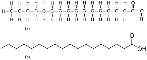 Structure Of A Saturated Fatty Acid