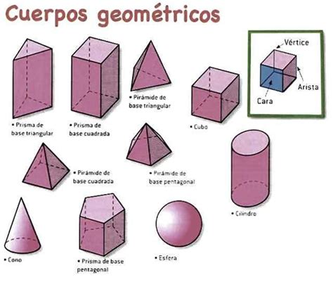 Destreza acoso Detenerse que son las vertices de las figuras ...