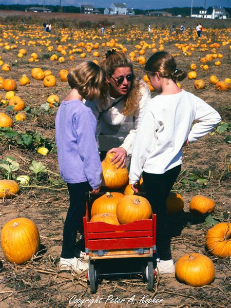 From The Archives: October, 1997 - "Lewin's Farms"