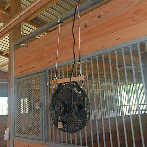 The Best Horse Stall Fans - Expert advice on horse care and horse ...