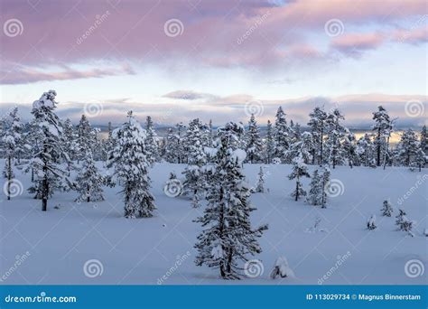 Winter View from a National Park in the Mountains in Sweden Stock Photo ...