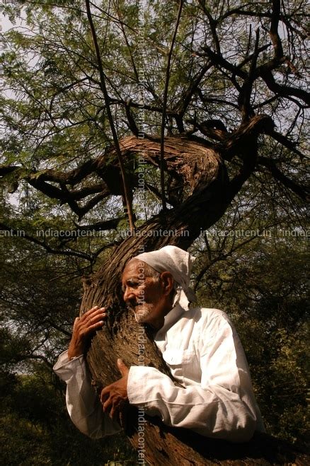 Buy SUNDERLAL BAHUGUNA Pictures, Images, Photos By BANDEEP SINGH ...