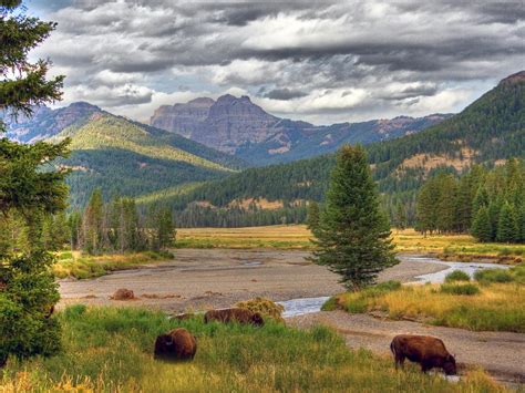 Yellowstone National Park, Wyoming, United States